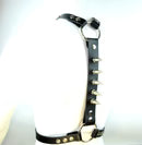 Short Spike Backbone Harness
