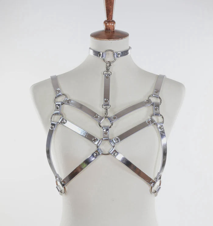 Double Strap Body Harness