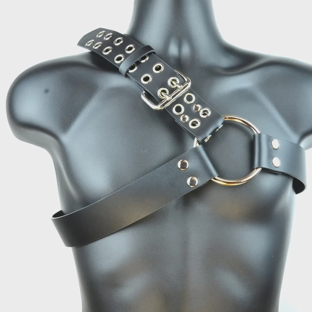 2 Row Eyelet Harness