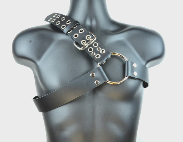 2 Row Eyelet Harness