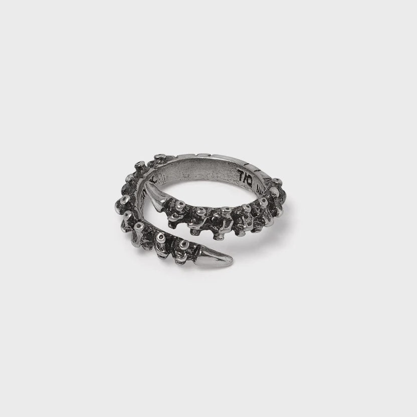 Spine Ring