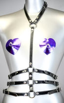 3 Strap Buckle Harness