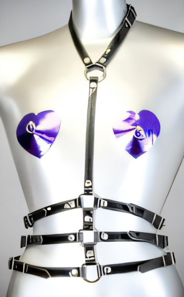 3 Strap Buckle Harness