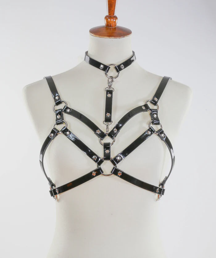 Double Strap Body Harness