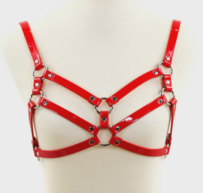 Double Strap Body Harness