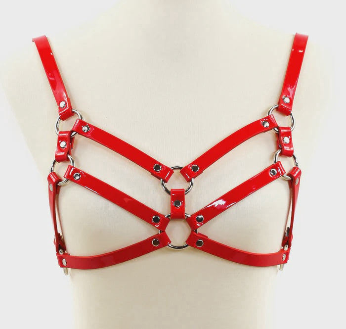 Double Strap Body Harness
