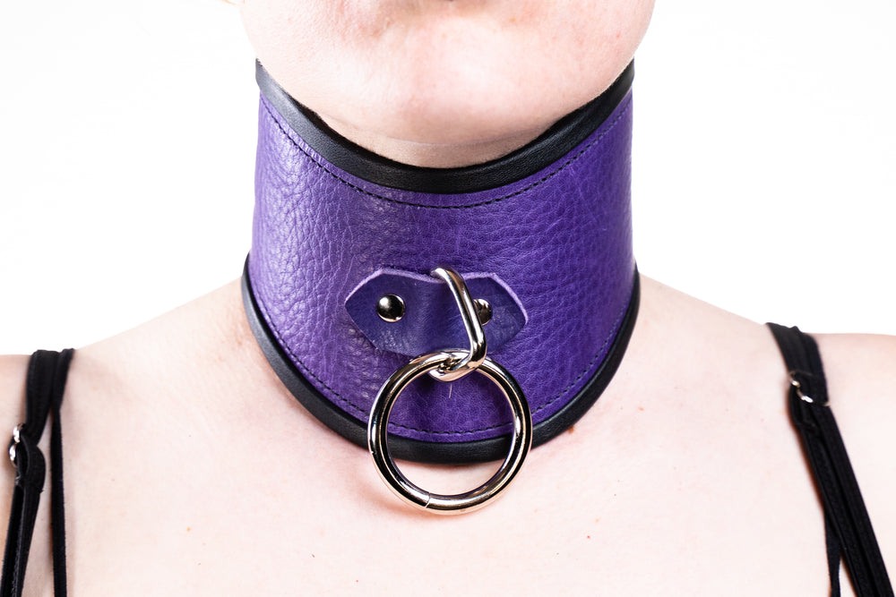 Rapture Leather Posture Collar