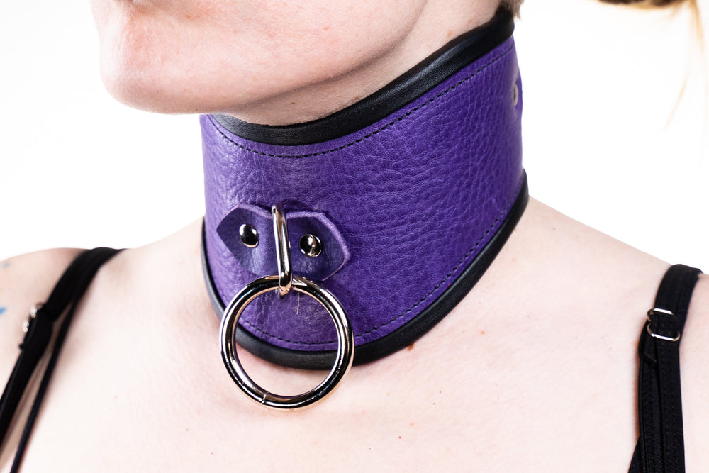 Rapture Leather Posture Collar