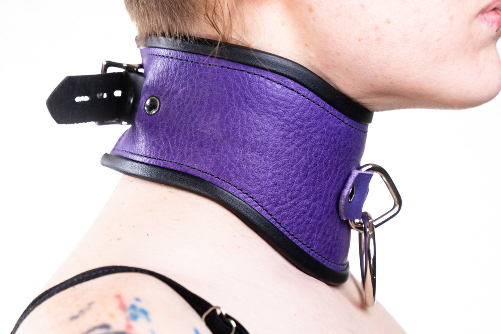 Rapture Leather Posture Collar