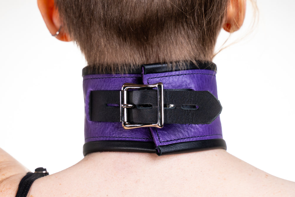 Rapture Leather Posture Collar